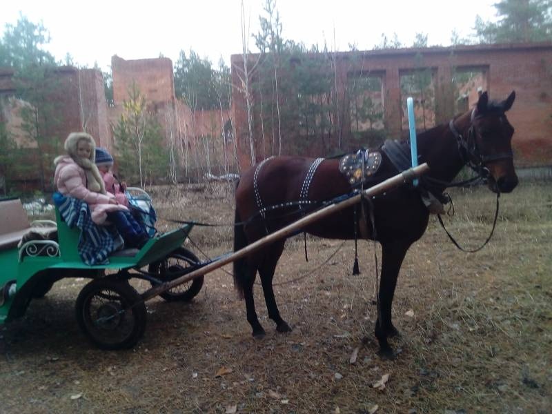 6 день соревнований 21