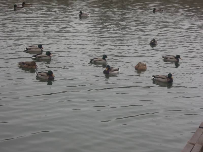DSCN4918.JPG
