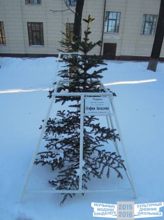 DSCN6556.JPG