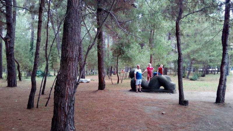 IMG_20180712_183816