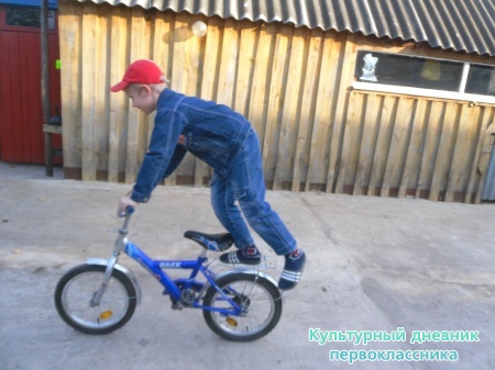 SAM_3532.JPG
