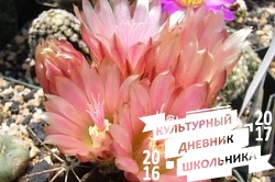 Оранжерейные растения. Зооботанический сад. Казань.78305