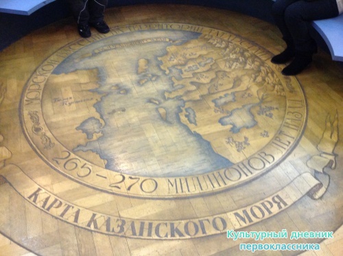 Музей естественной истории 2 этаж17396