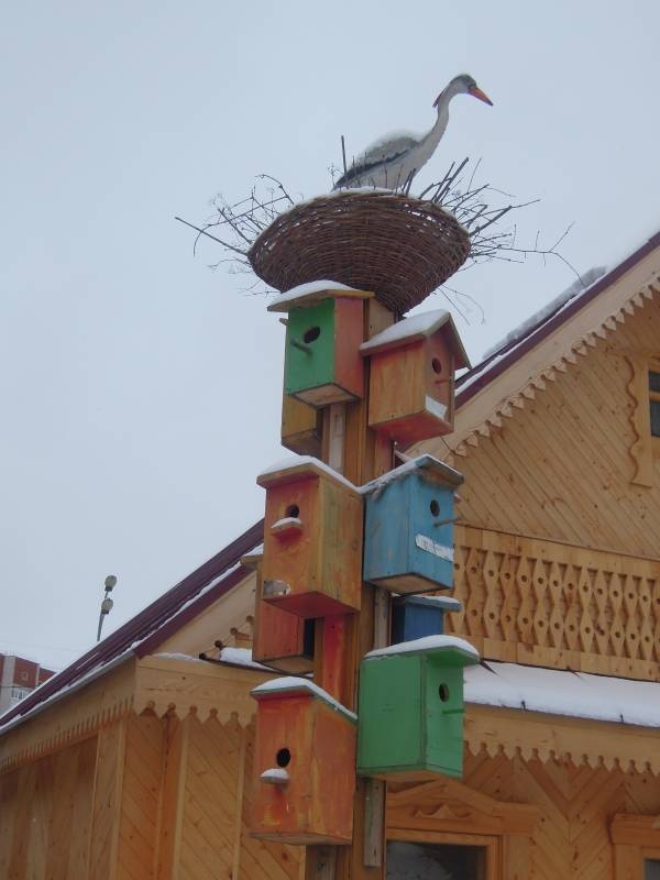 DSCN7099.JPG