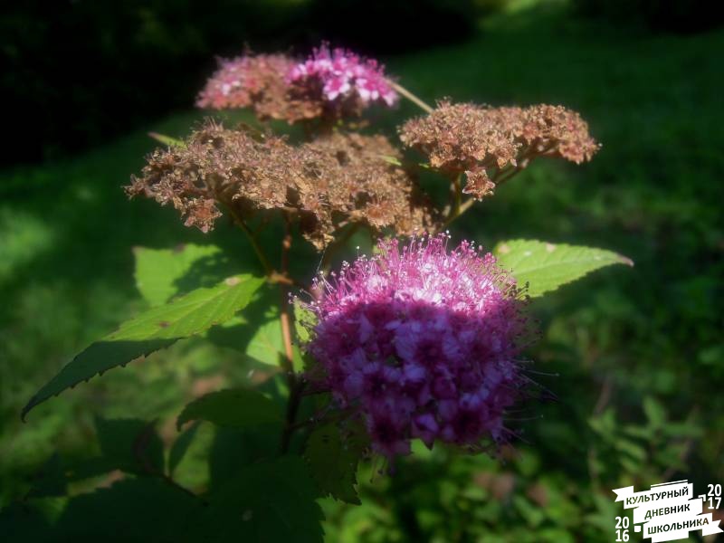 DSCN1640.JPG