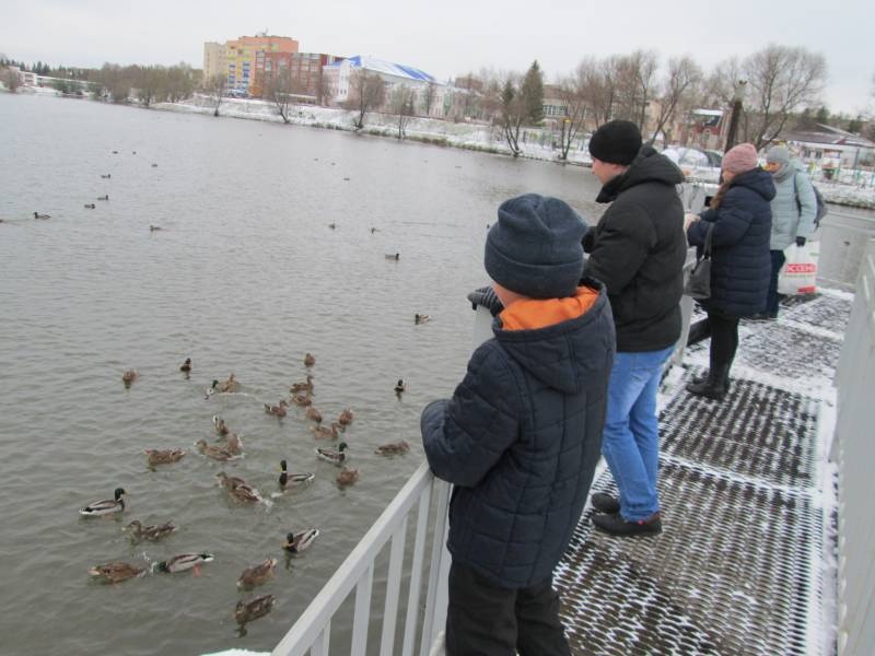 Кормление уток на Центральном водоеме.05.11.201789954