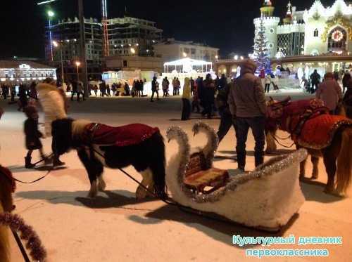 Ледовый городок18172