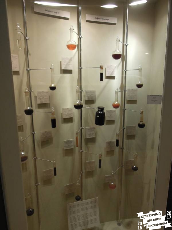 DSCN8542.JPG