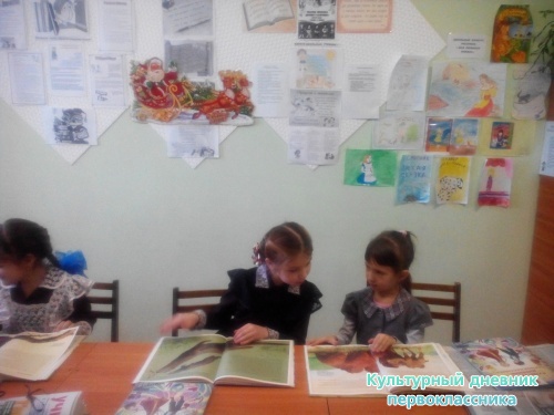 Школьная библиотека