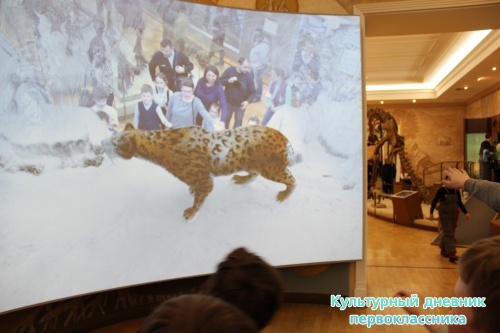 Новый экспонат «Ледниковый период»16484