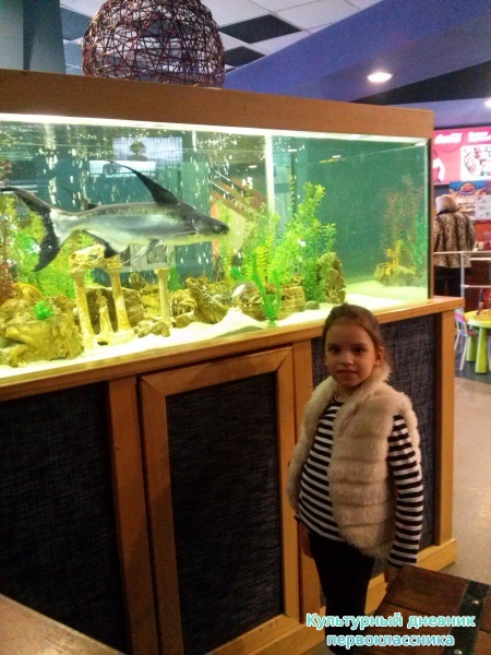 Поход в кинотеатр