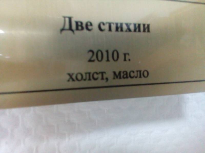 Персональная выставка Н. Сафронова в Картинной галерее г. Набережные Челны 91