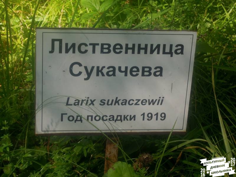 DSCN1637.JPG