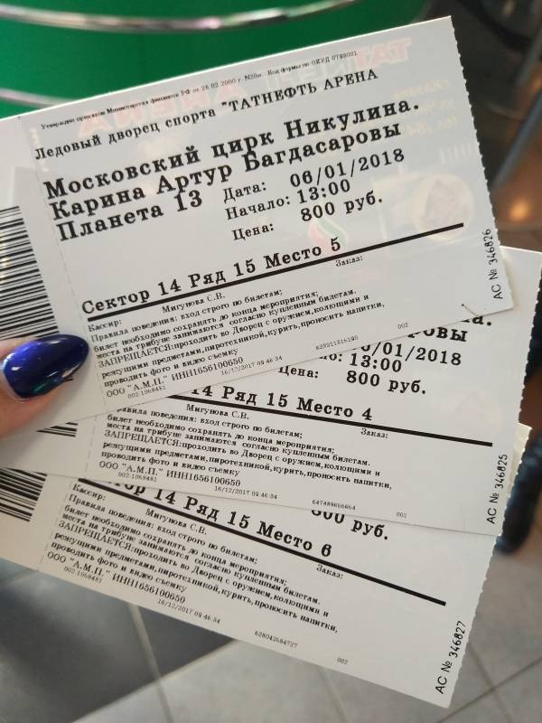 Цирк Карины и Артура Багдасаровых133997