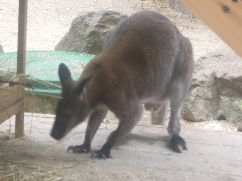 DSCN0168.JPG