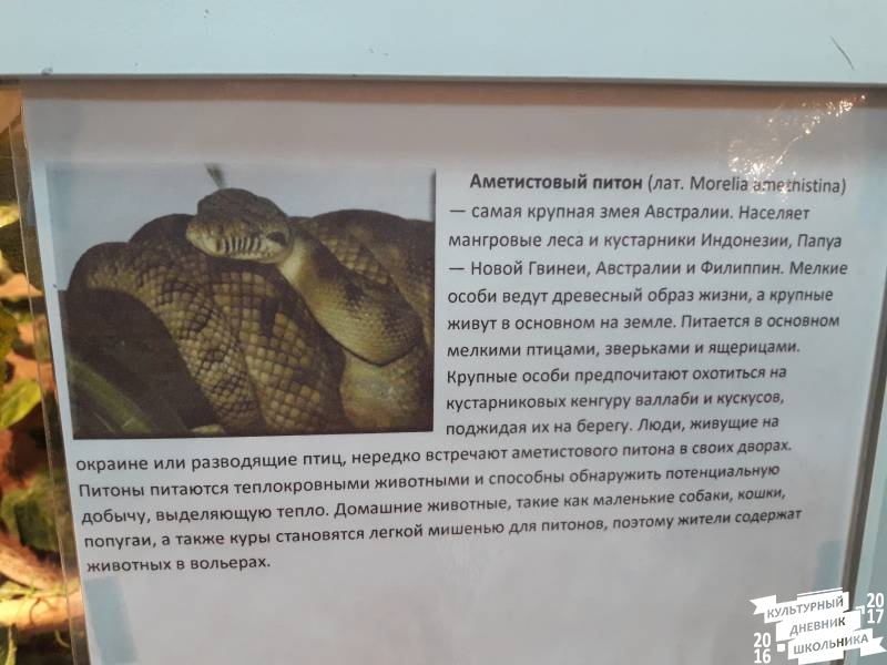 Выставка зоопарк "Живые тропики"60572