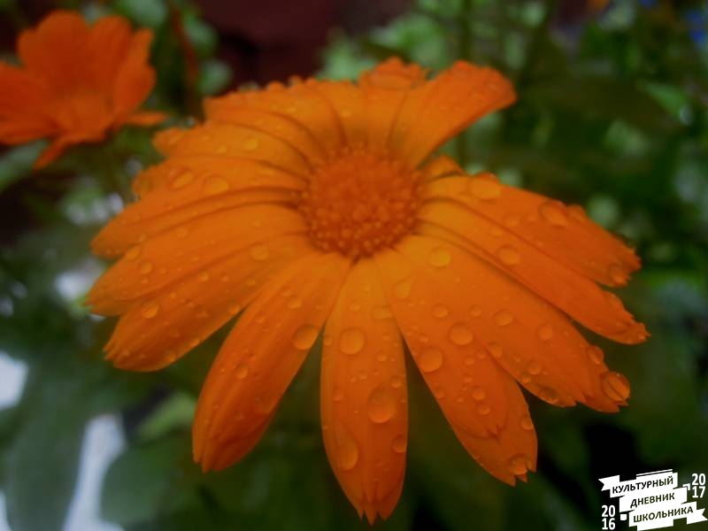 DSCN0305.JPG