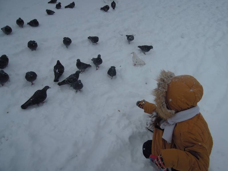 DSCN5268.JPG