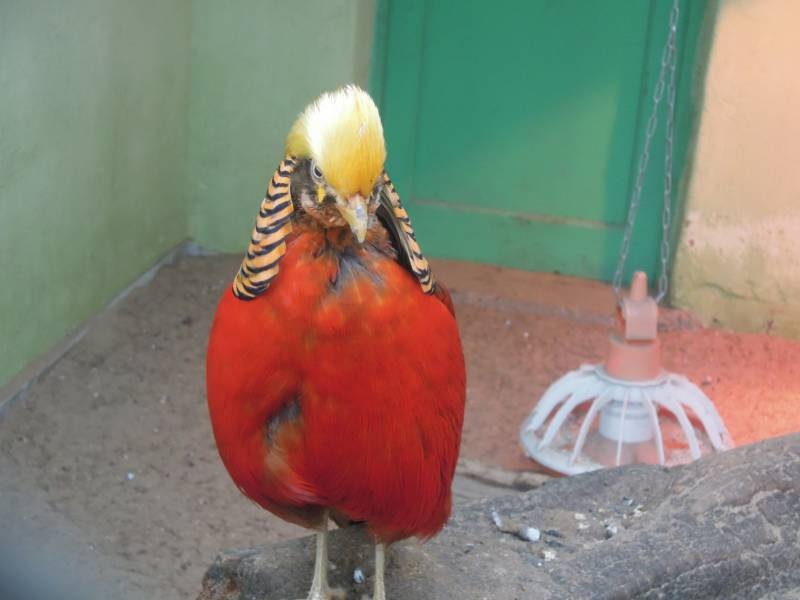 DSCN5030.JPG