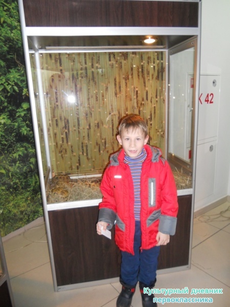 выставка экзоточеских животных25249