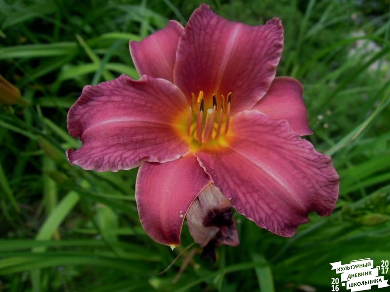 DSCN0642.JPG