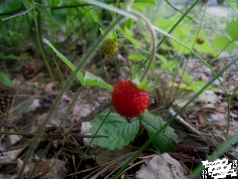 DSCN0263.JPG