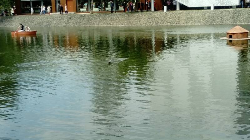 DSC_1097.JPG