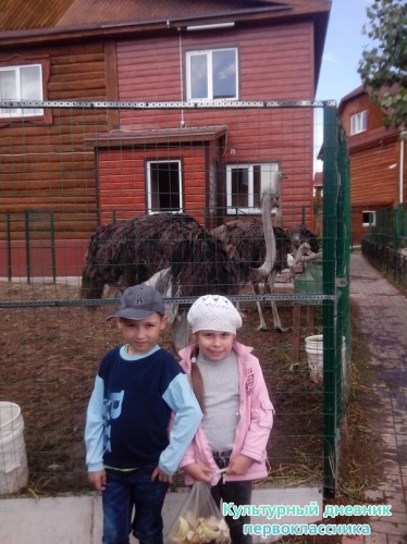 Мероприятия Агнессы3733
