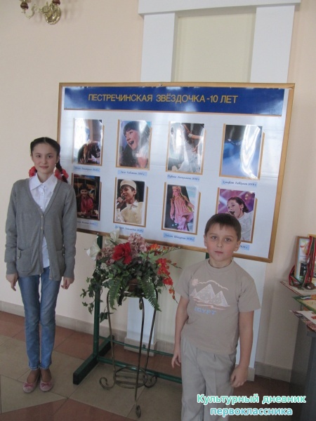 Пестречинская звездочка24114