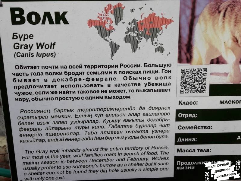 Зооботанический сад. Волк.77131
