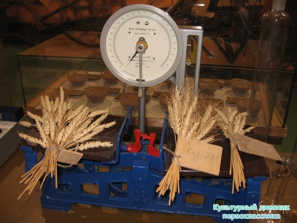Великий Болгар