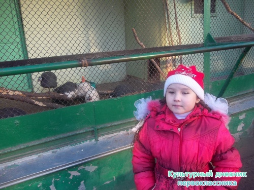 Казанда зоопаркта