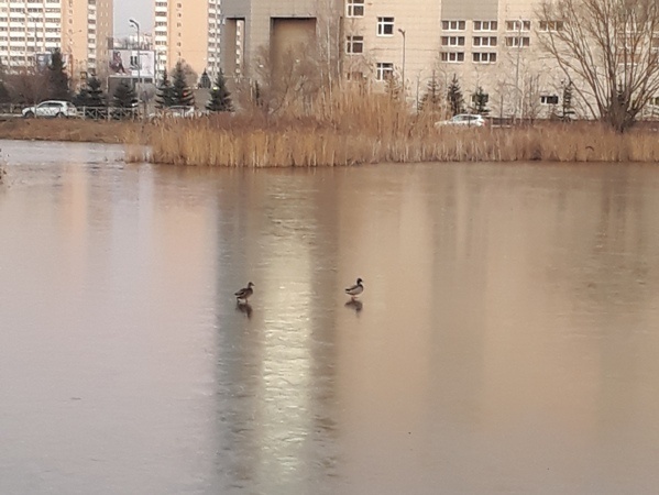 20191116_153708