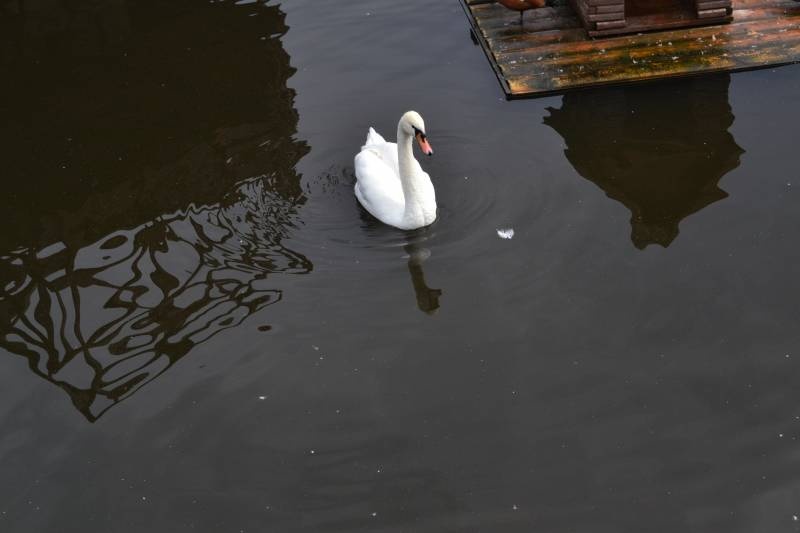 DSC_0651.JPG