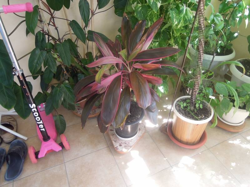 DSCN0573.JPG