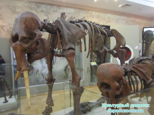 Мои путешествия11574