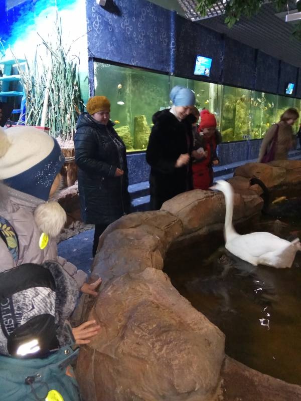 Мои мероприятия!!112959