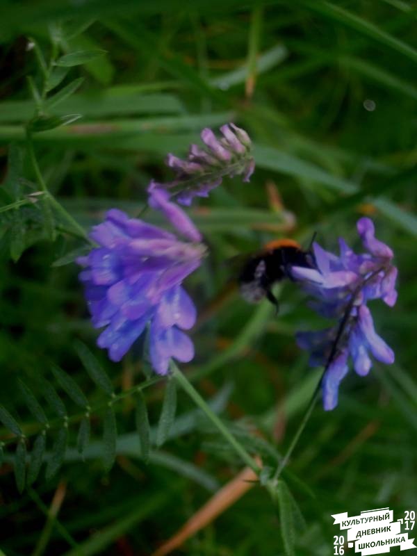 DSCN0362.JPG