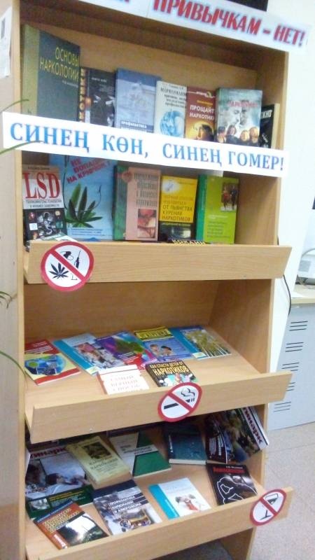 Библиотека Народов Поволжья. 16.10.2017г.86235