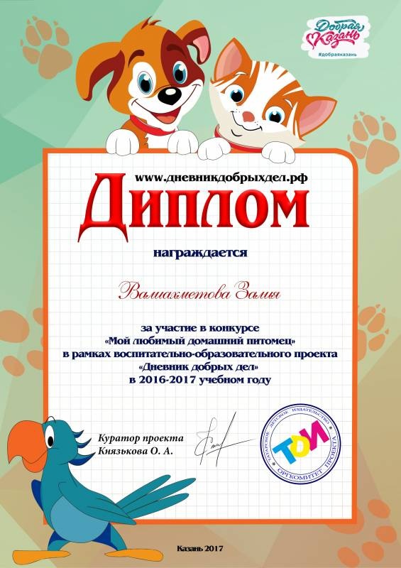 мои дипломы и грамоты118457
