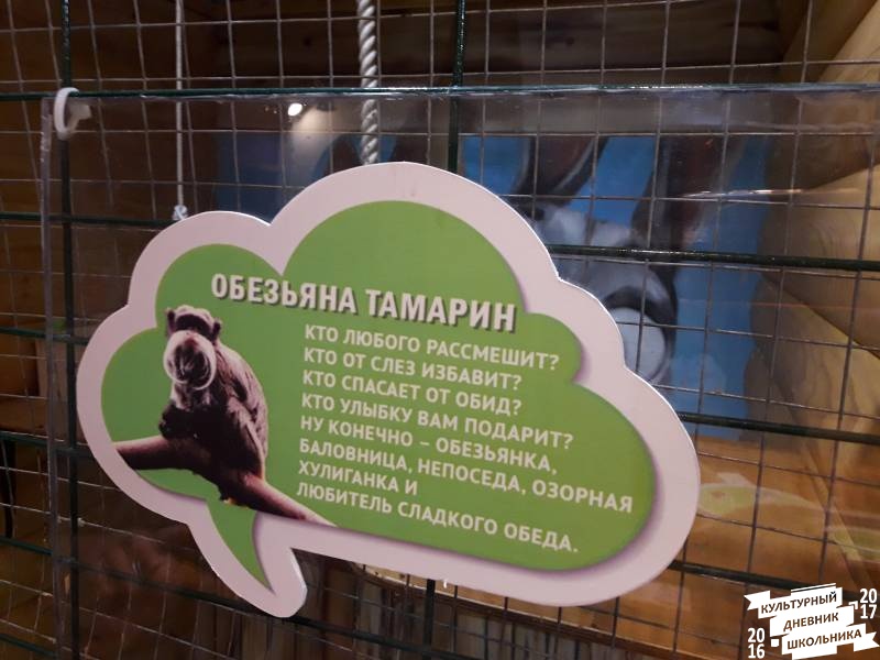 Контактный зоопарк. Казань.75605