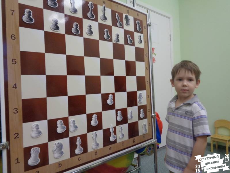 Занятие по шахматам в дошкольниками 19.JPG