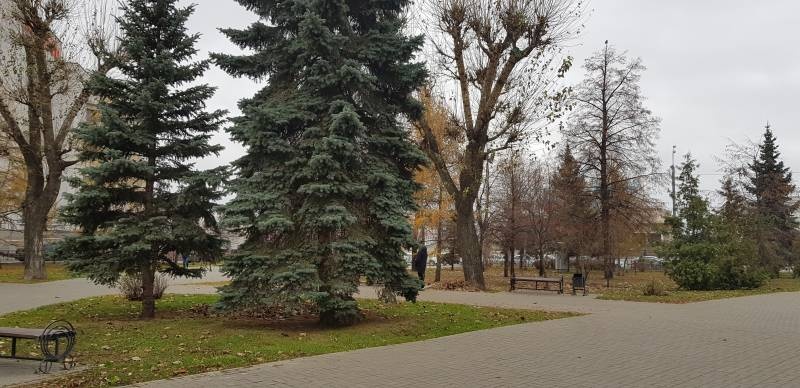 20181106_135941