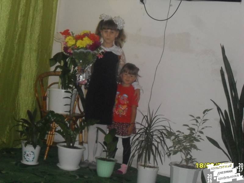 я и моя культурная команда73874