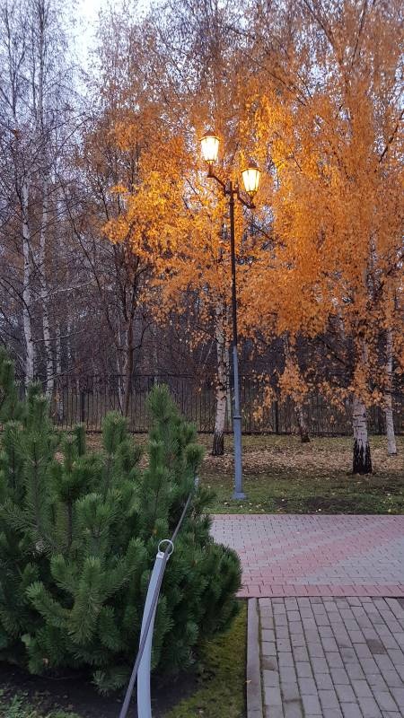 20181108_160356
