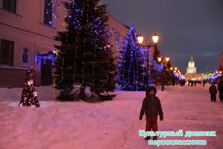 новогодний Кремль16395