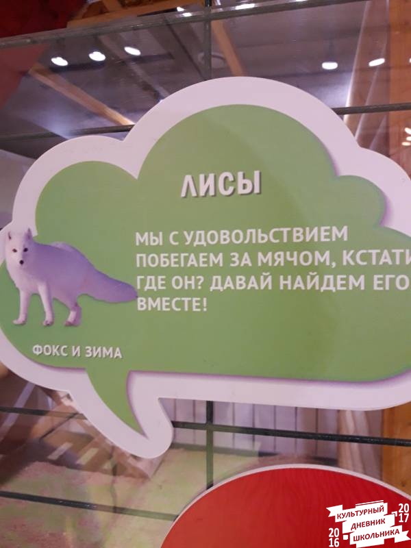 Контактный зоопарк. Казань.75592