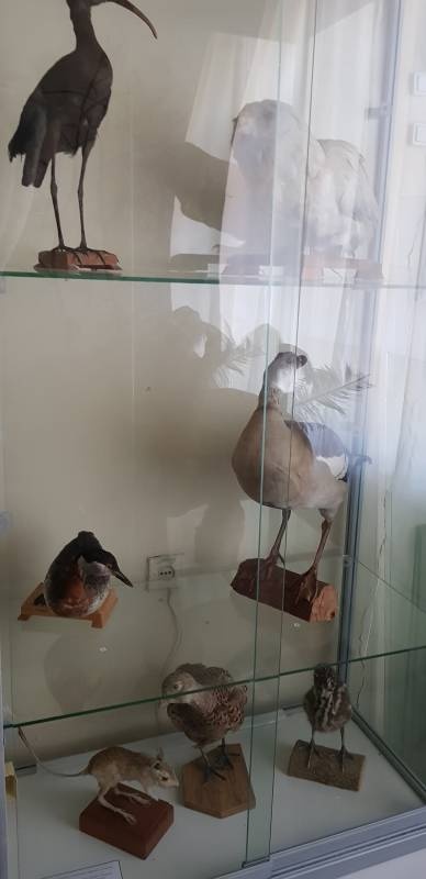 20180701_171556