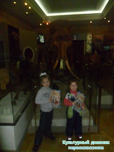 SAM_0337.JPG