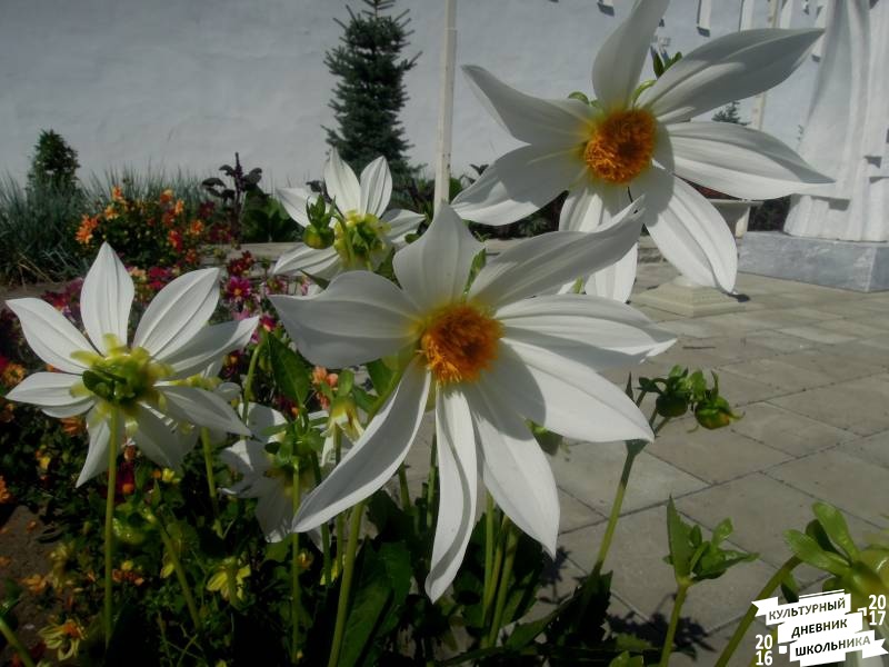 DSCN1537.JPG